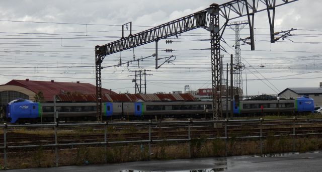 �q�R�D�P�O�c��H��